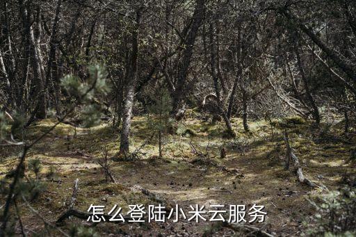 怎么登陸小米云服務(wù)