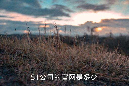 s1s1s1，S1公司的官網(wǎng)是多少
