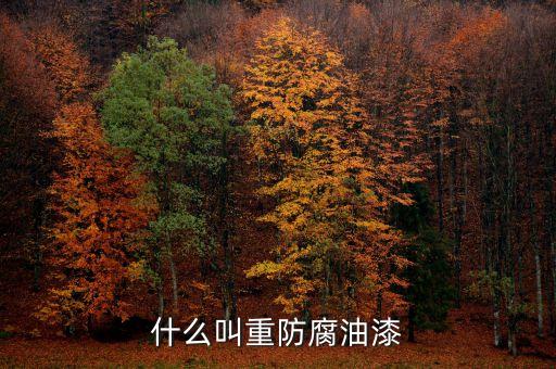 什么叫重防腐油漆