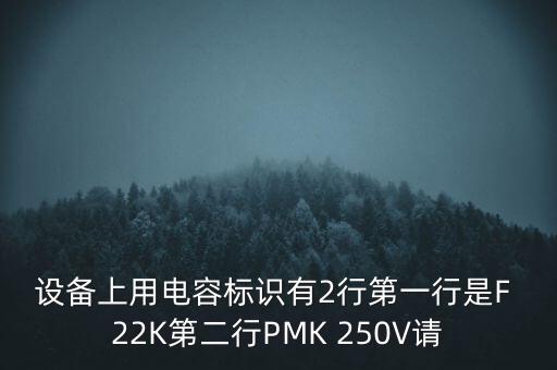 設(shè)備上用電容標(biāo)識有2行第一行是F 22K第二行PMK 250V請
