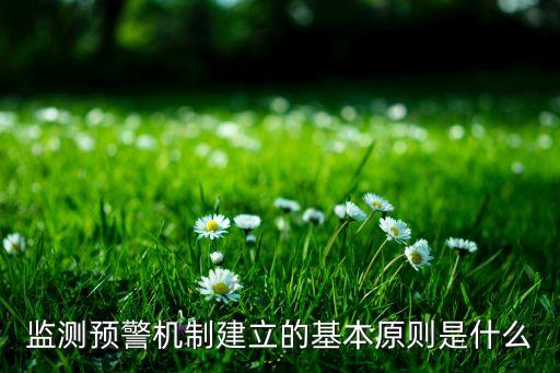 監(jiān)測預(yù)警，監(jiān)測預(yù)警機制建立的基本原則是什么