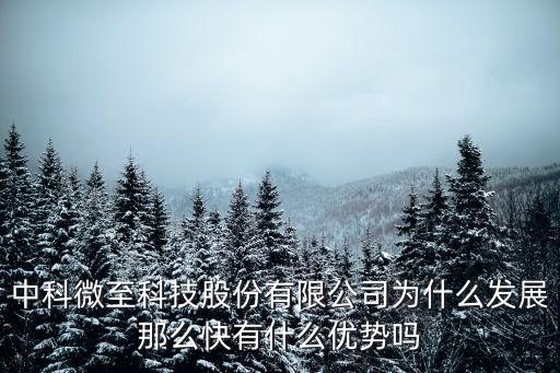 中科微至科技股份有限公司為什么發(fā)展那么快有什么優(yōu)勢嗎