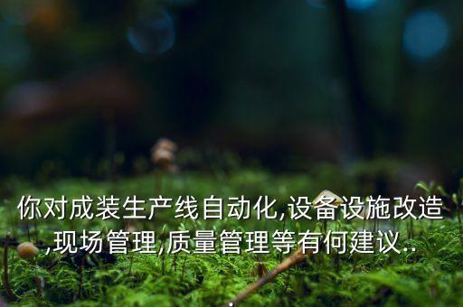 你對成裝生產(chǎn)線自動(dòng)化,設(shè)備設(shè)施改造,現(xiàn)場管理,質(zhì)量管理等有何建議...