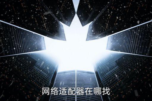 網(wǎng)絡(luò)適配器在哪找