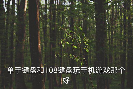 108鍵盤，新手凱酷84還有108這樣鍵盤有什么不同