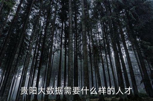 貴陽大數(shù)據(jù)需要什么樣的人才