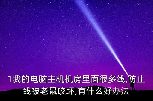 1我的電腦主機(jī)機(jī)房里面很多線,防止線被老鼠咬壞,有什么好辦法