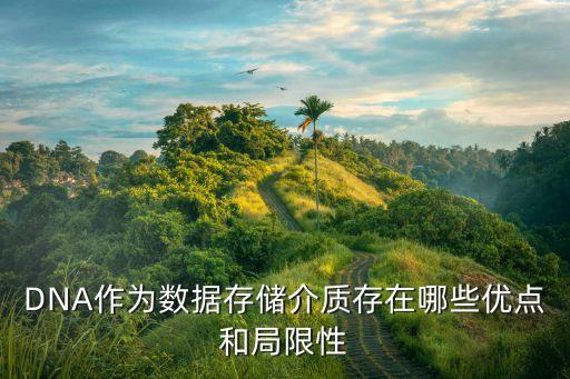 數(shù)據(jù)存儲(chǔ)介質(zhì)，什么是存儲(chǔ)介質(zhì)什么是閃存