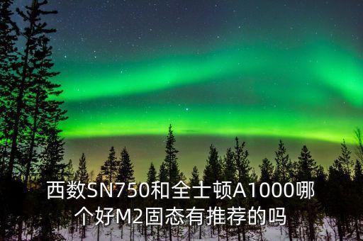 西數(shù)SN750和全士頓A1000哪個好M2固態(tài)有推薦的嗎