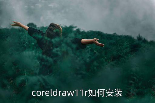11r，coreldraw11r如何安裝
