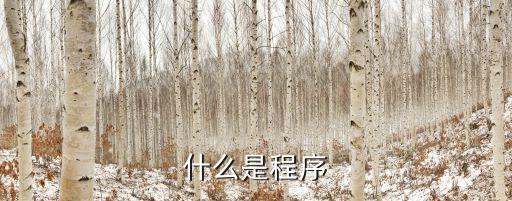 什么是程序