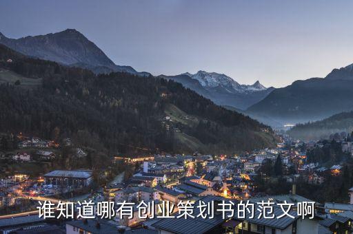 誰知道哪有創(chuàng)業(yè)策劃書的范文啊