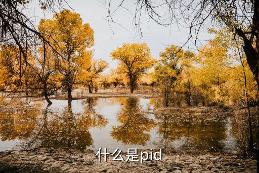什么是pid，什么是pid
