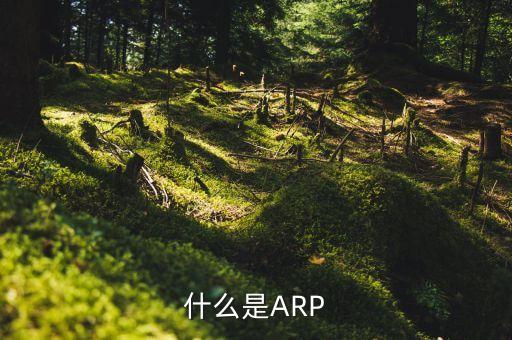 什么是ARP