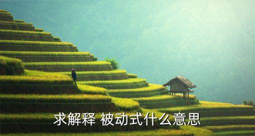 求解釋 被動(dòng)式什么意思