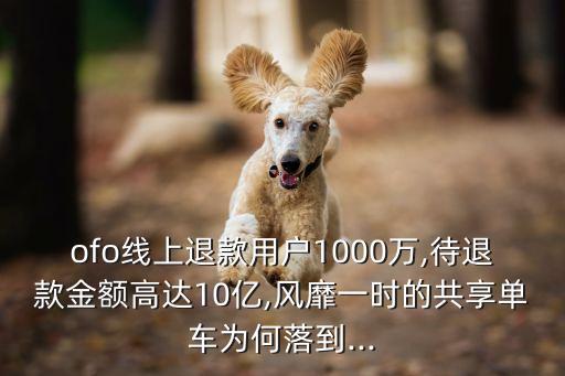 摩拜ofo市場數(shù)據(jù),ofo和摩拜的前景