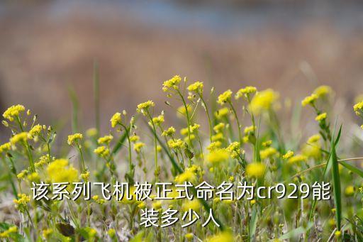 cr929，中國(guó)C999大型客機(jī)什么時(shí)候下線