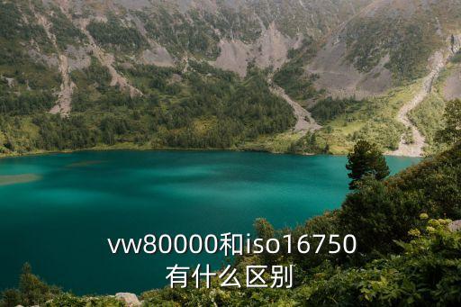 vw80000,Vw80000標準 lv214 區(qū)別