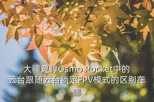 大疆靈眸Osmo Pocket中的云臺跟隨云臺鎖定FPV模式的區(qū)別在哪