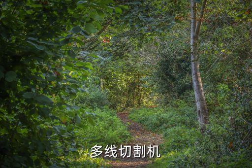 多線切割機(jī)