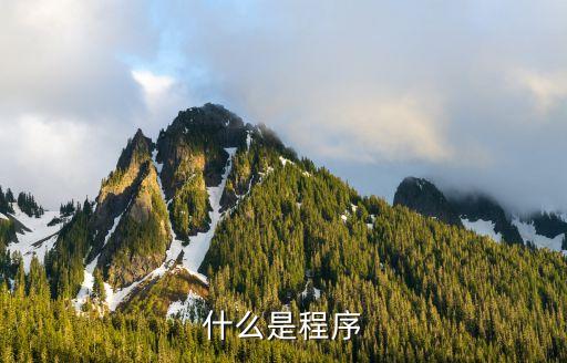 程序，什么是程序