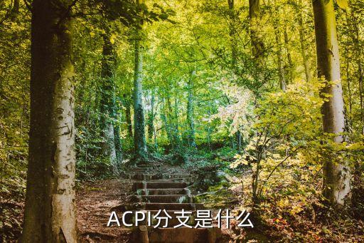acpi，ACPI到底是什么