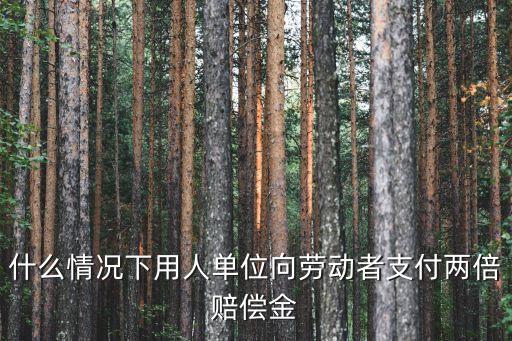 什么情況下用人單位向勞動者支付兩倍賠償金