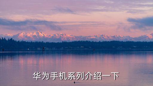 華為手機(jī)大全，華為手機(jī) 有什么系列