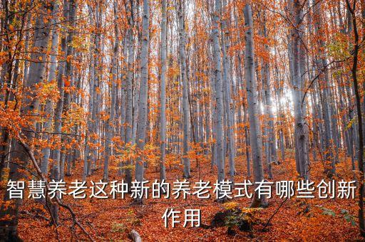 智慧養(yǎng)老這種新的養(yǎng)老模式有哪些創(chuàng)新作用