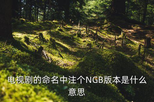 ngb，NGB什么意思