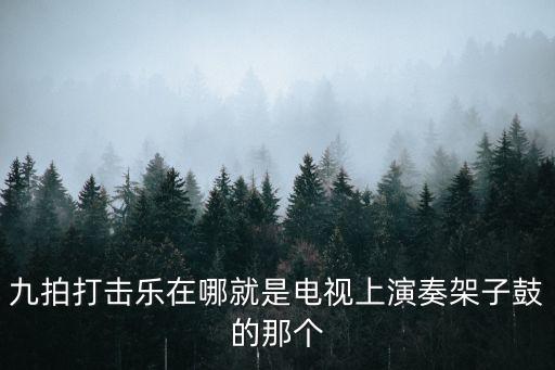 九拍打擊樂在哪就是電視上演奏架子鼓的那個(gè)