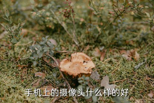 手機(jī)上的攝像頭什么樣的好