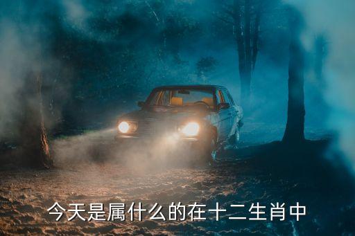 今天是屬什么的在十二生肖中