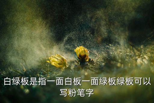 白綠板是指一面白板一面綠板綠板可以寫(xiě)粉筆字