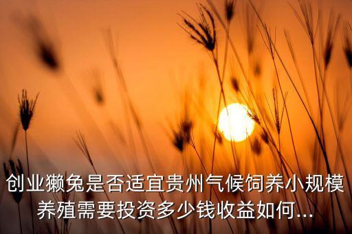 創(chuàng)業(yè)獺兔是否適宜貴州氣候飼養(yǎng)小規(guī)模養(yǎng)殖需要投資多少錢收益如何...