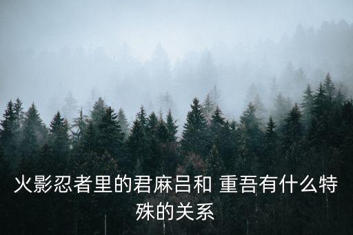 火影忍者里的君麻呂和 重吾有什么特殊的關(guān)系