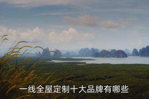 無錫三訊自動化有限公司,中國醫(yī)療器械企業(yè)100強(qiáng)排名出爐