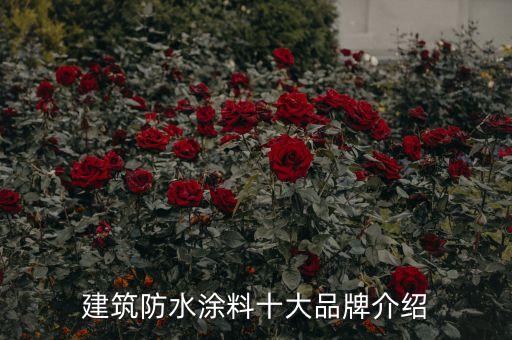 建筑防水涂料十大品牌介紹