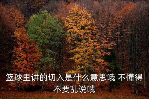 切入，切入是什么意思啊