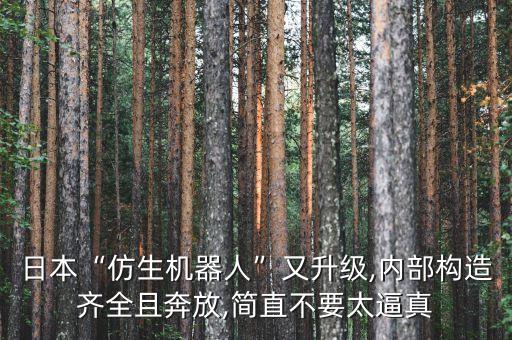 最先進的機器人日本,日本機器人技術(shù)有多厲害?