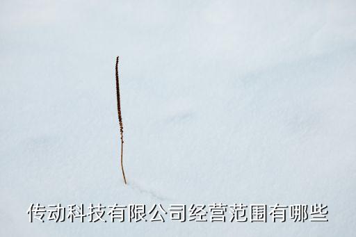 傳動科技有限公司經(jīng)營范圍有哪些