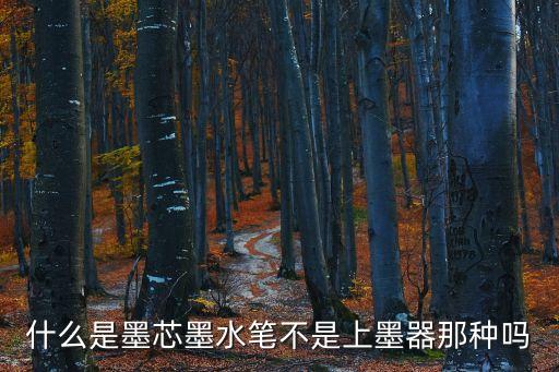墨芯，打印機(jī)墨盒芯片要多久才換一次