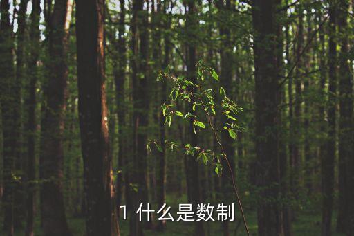 1 什么是數(shù)制