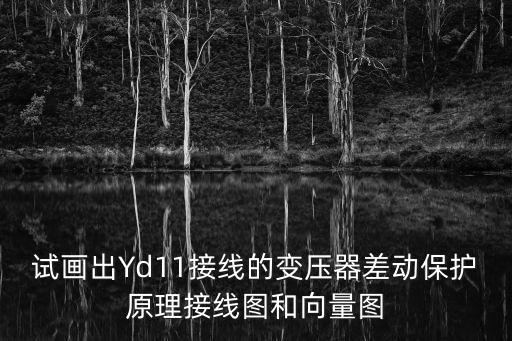 yd11接線圖，試畫出Yd11接線的變壓器差動保護原理接線圖和向量圖