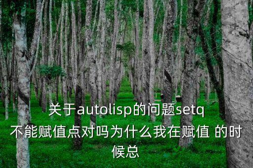 關(guān)于autolisp的問題setq不能賦值點(diǎn)對嗎為什么我在賦值 的時候總