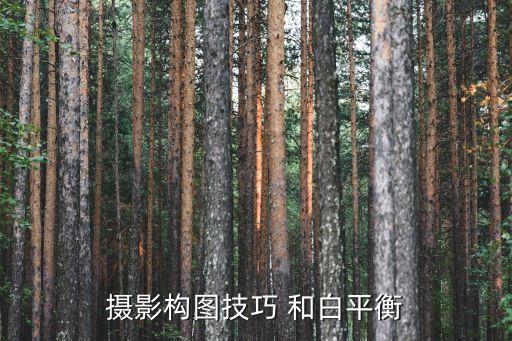 攝影構(gòu)圖技巧 和白平衡