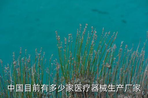 中國目前有多少家醫(yī)療器械生產(chǎn)廠家