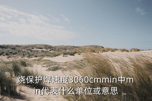 燒保護焊速度3060cmmin中min代表什么單位或意思