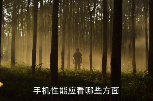 手機性能應看哪些方面