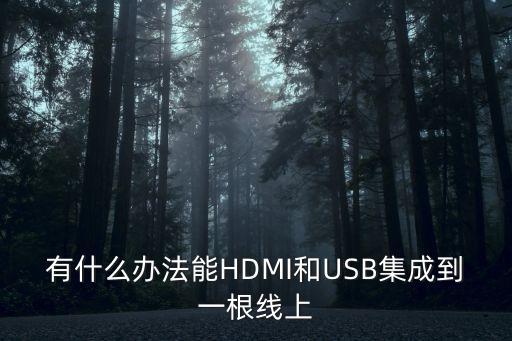 hdmi轉(zhuǎn)usb，有沒有hdmi轉(zhuǎn)usb的轉(zhuǎn)換器